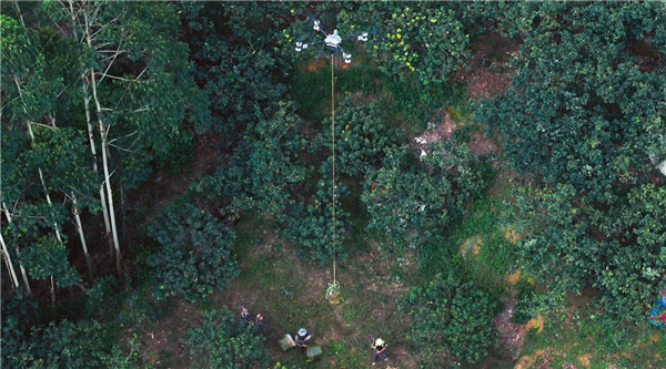 【低空经济飞进茂名荔枝园大疆农业无人机助力千年荔枝焕发新活力】5月底，岭南荔枝