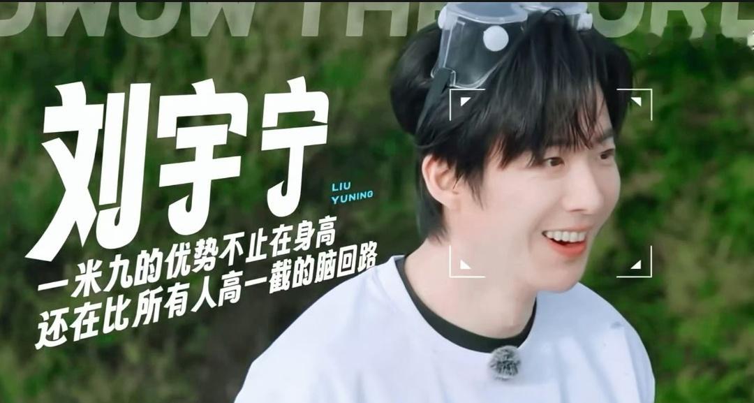 比所有人高一截的脑回路。这确实没毛病