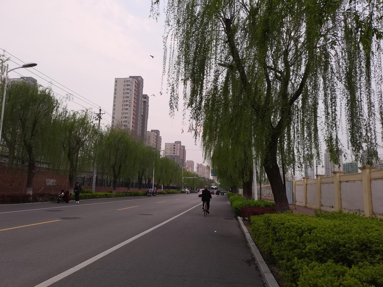 子女在身边，老少都心安子女有出息，相信天下的父母，没有拉后腿的。但是，人总