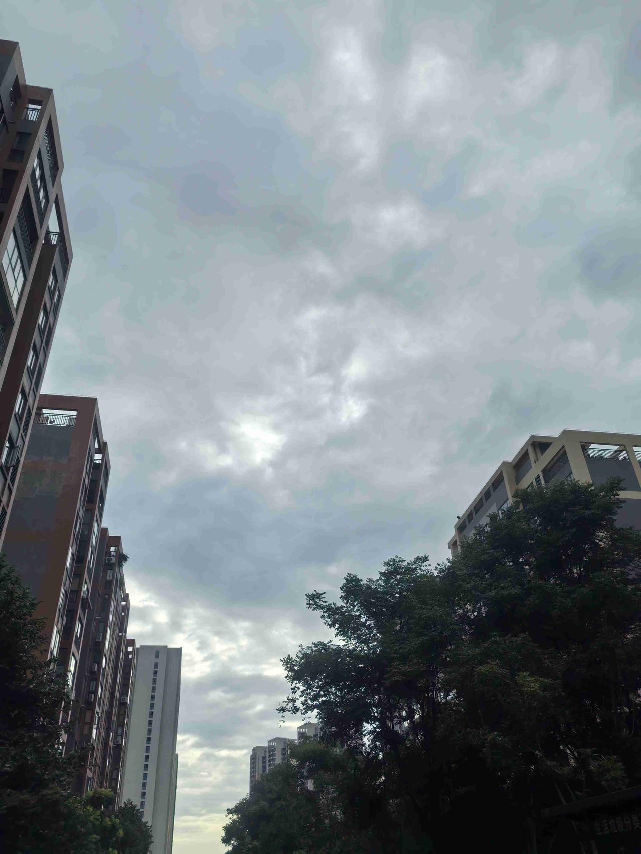 今天的武汉真是舒服啊。只有风没有雨啊，现在都是下午快6点了，一直没有下雨。