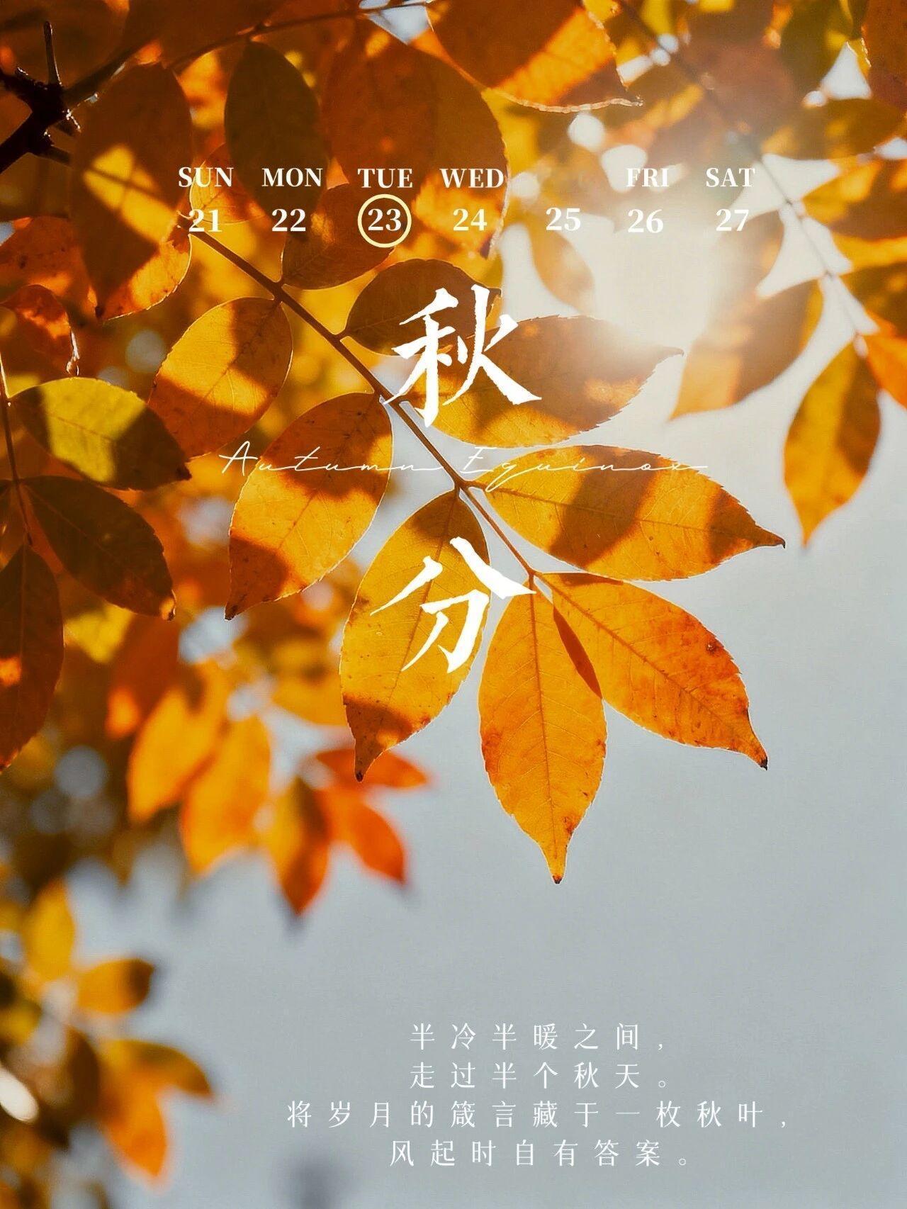 9月23日，今日秋分，昼夜平分，万物均衡。最是怡人秋分时，一切都是刚刚好，