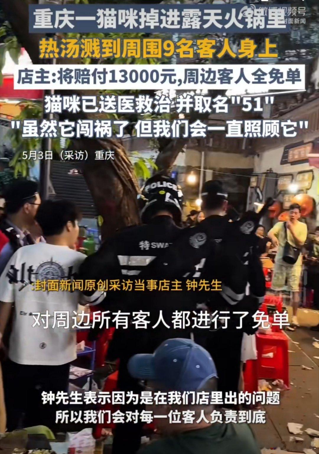 掉进火锅猫咪已送医取名51哇塞！老板人真的很好诶，没有迁怒猫猫，也没有逃避责任