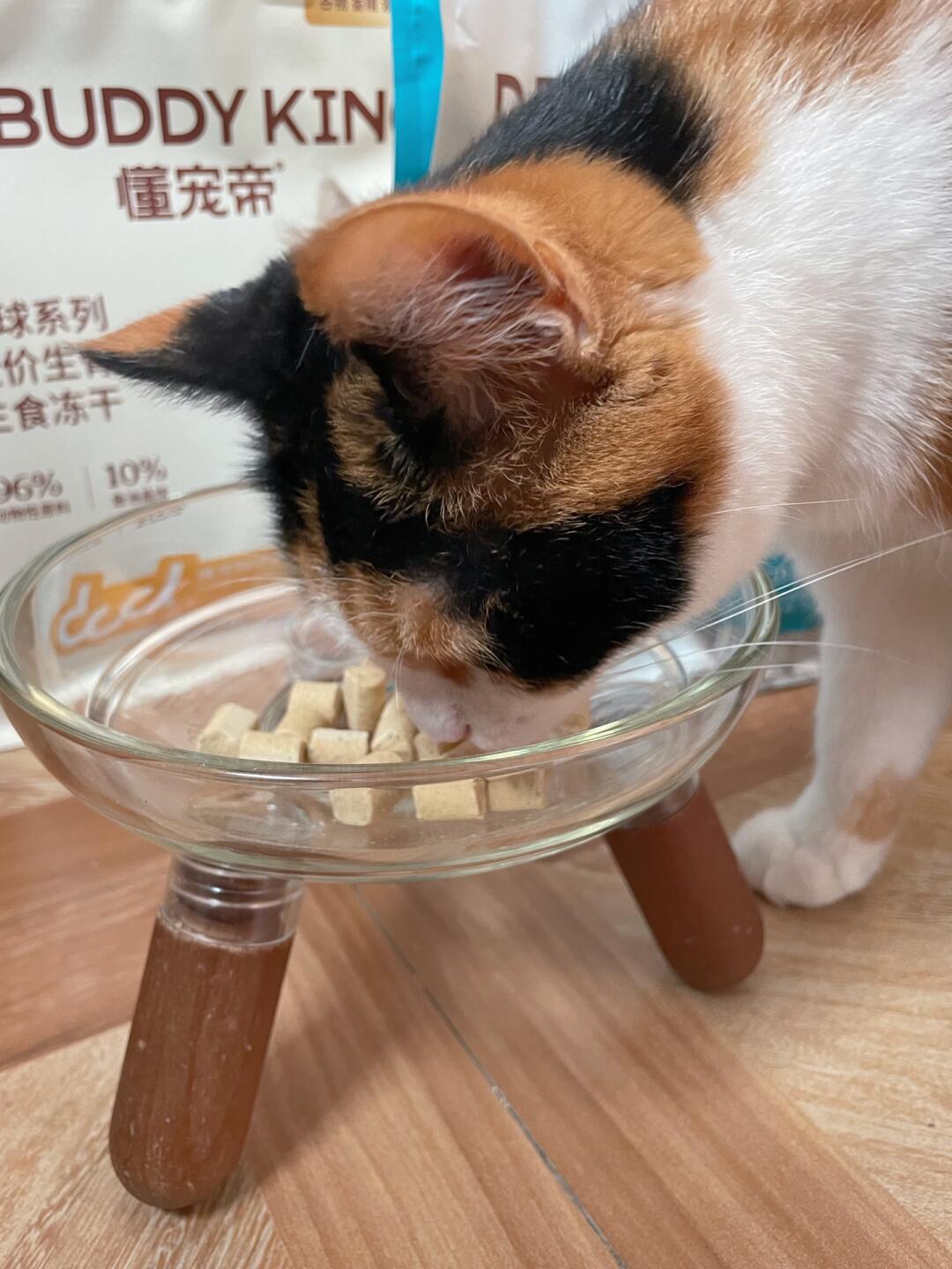 最近给仔吃的这个懂宠帝生骨肉它超爱的宠率家的冻干，每次一拿打开它就凑上...