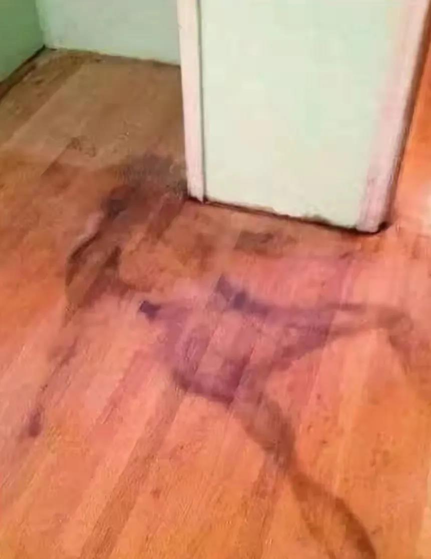 中介带我看房子，说这是冰箱漏水留下的印记，擦不掉了