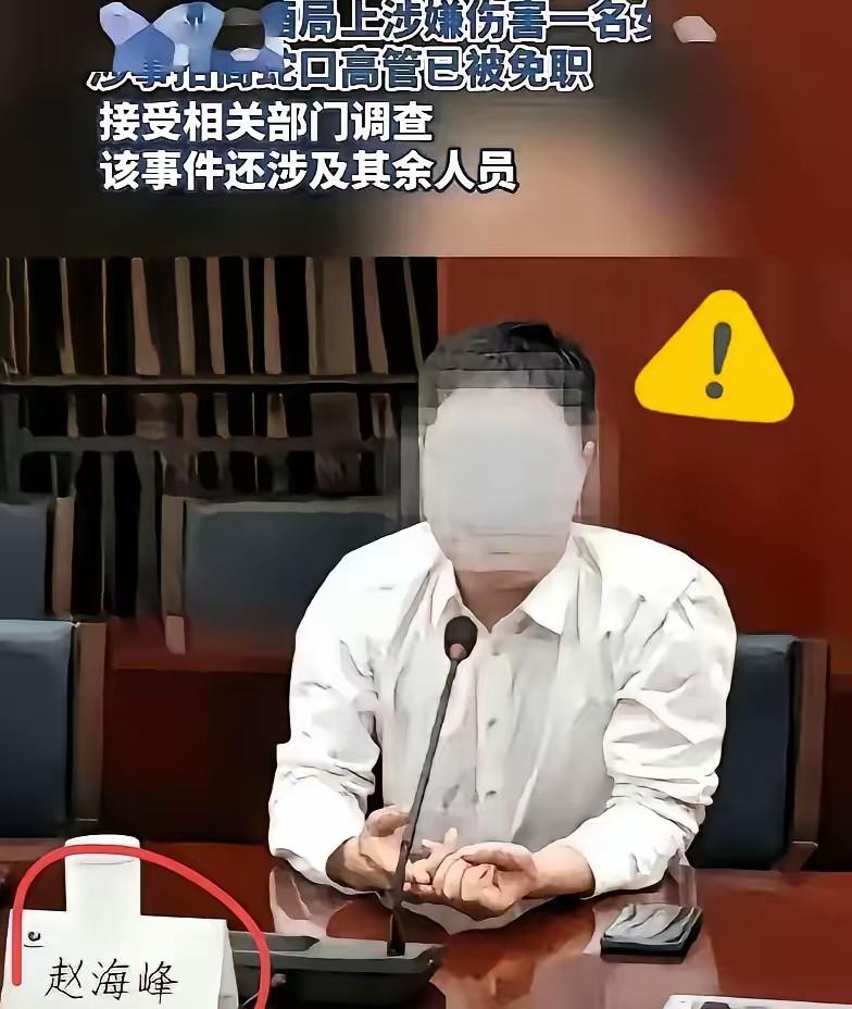 清华毕业赵海峰，在酒局摸女生时，就已经有好心人的手机就在录视频，他可能怎么也没有