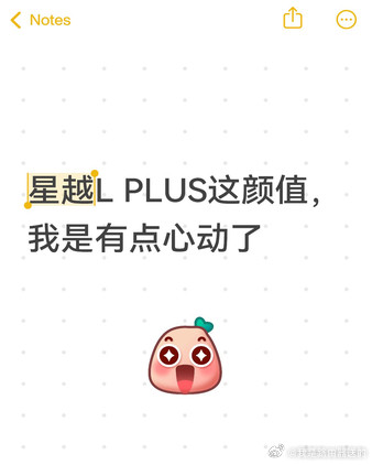 星越LPLUS这颜值，我是有点心动了站车头正前方的时候，那个格栅确实唬人，宽大，竖条排列很整齐，像列
