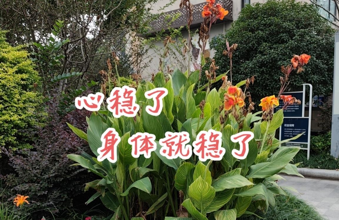 妇科的卵巢癌凶险吗？我感觉未必，我是卵巢癌，而且是中晚期。虽然白衣们手术的时候眼