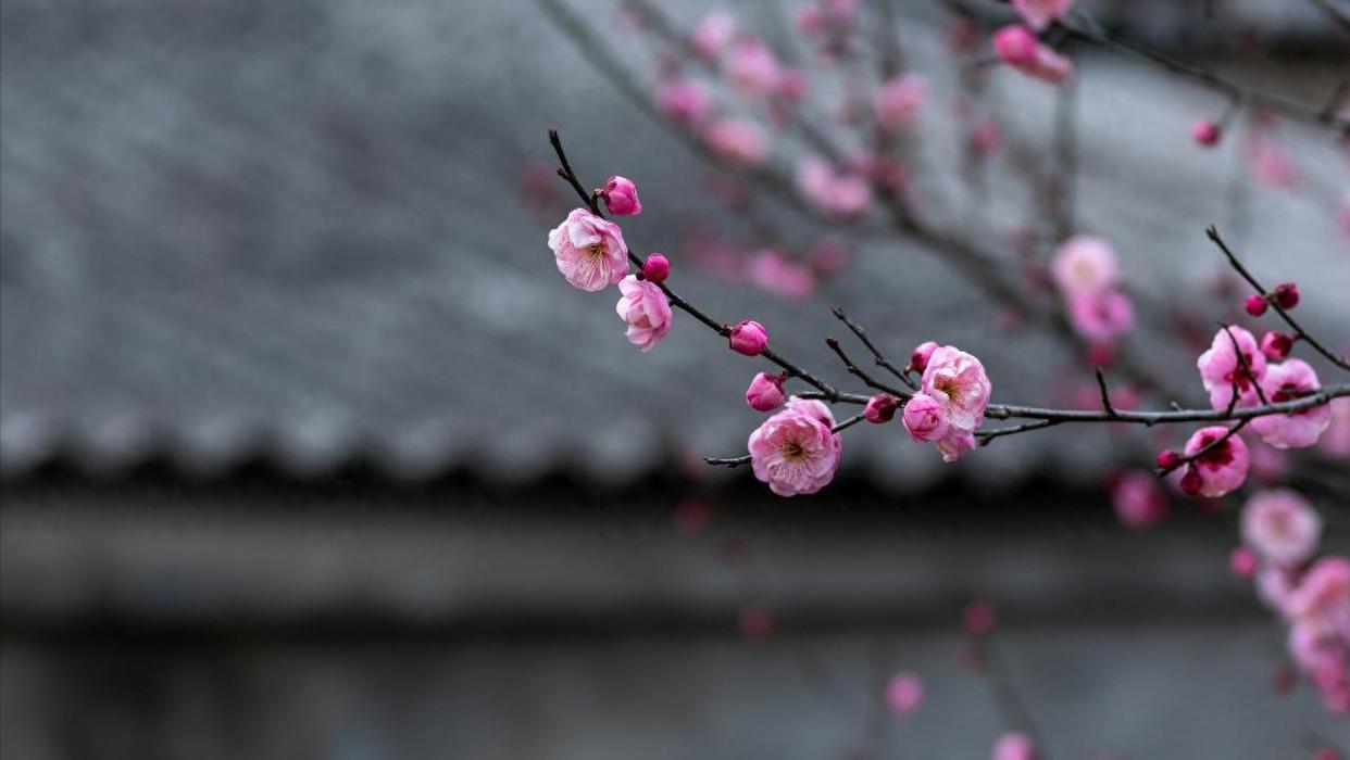 我妈摔了以后，在床上躺了三年。这三年，是我妹辞了工作回来照顾的。我出钱，她出力，