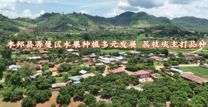 缅北果敢同盟军近期动态长安荔枝的风还是吹到了缅北果敢地区！看吧，果敢同盟军在