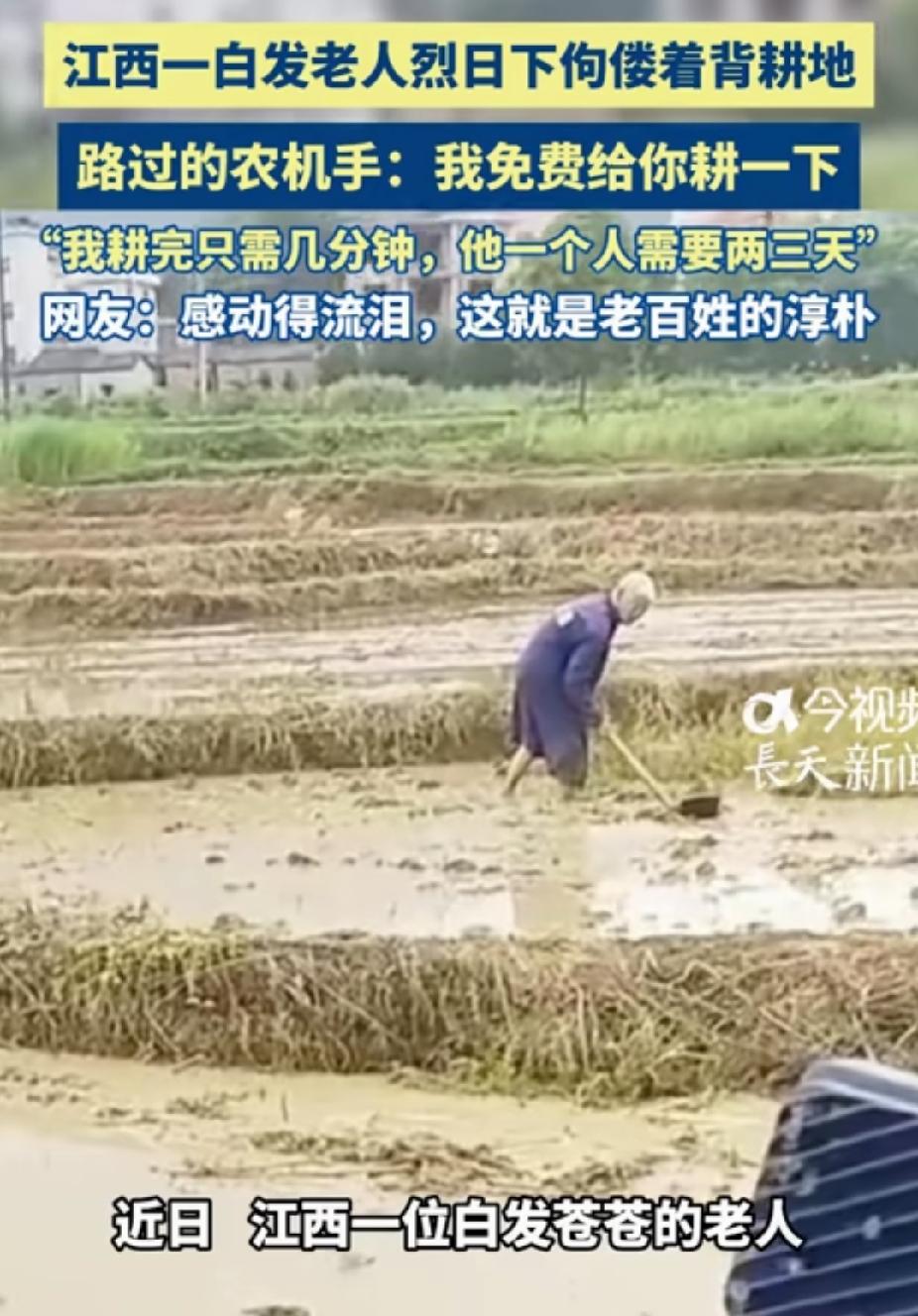 破防了！江西，一位农机手看到老人在烈日下耕地。突然他喊:“嘿，我给你打一下田，