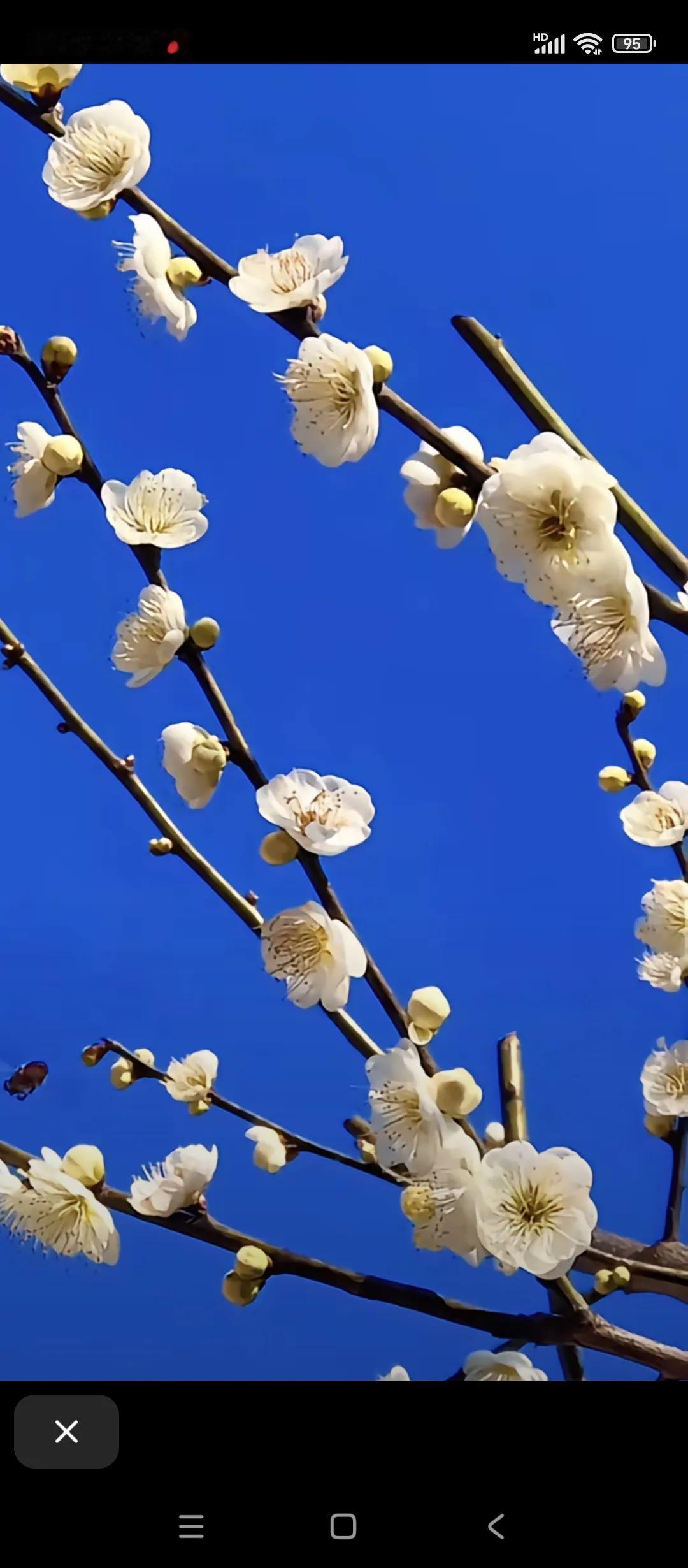 今天考研成绩出来了昨天女儿发来消息，说今天下午两点半出成绩，从去年