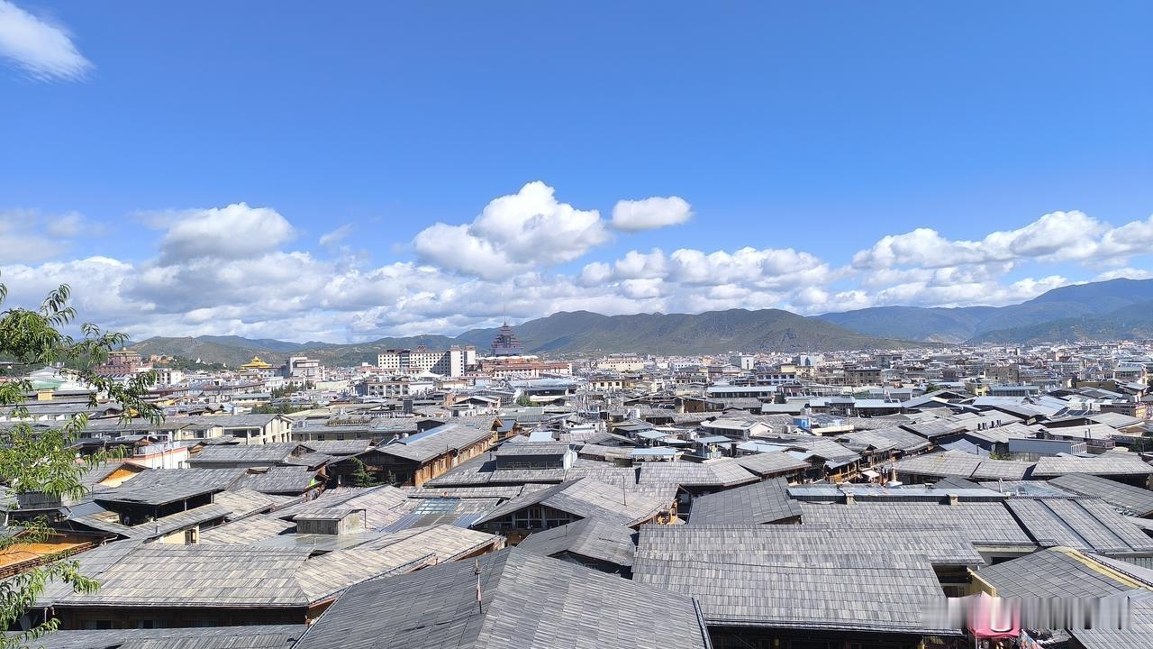 东北人去广西、海南的多，云南的少，你知道这是为什么吗？虽然说云南的西双版纳也有