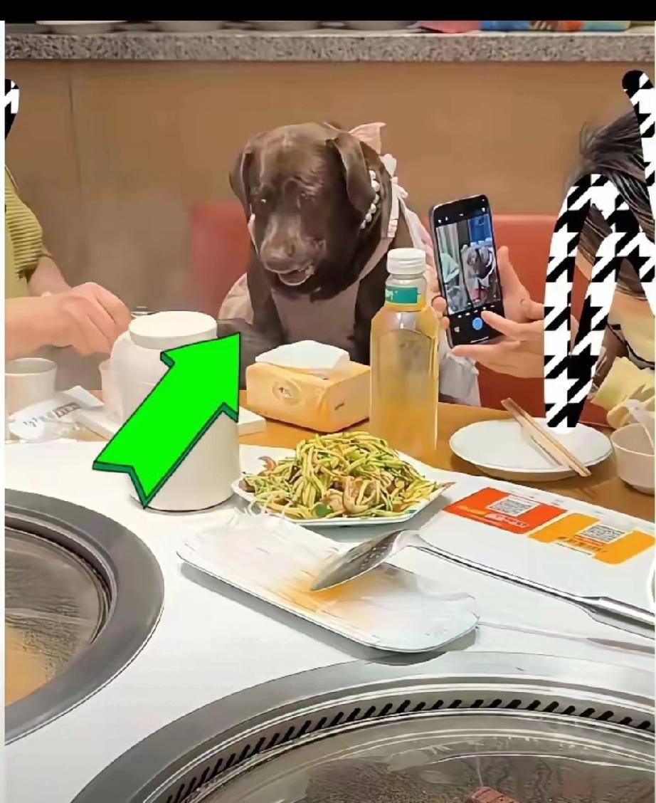 “缺大德了”，天津市有位狗主给狗过生日，选择一家铁锅炖，还用人用的餐具给狗喂食。