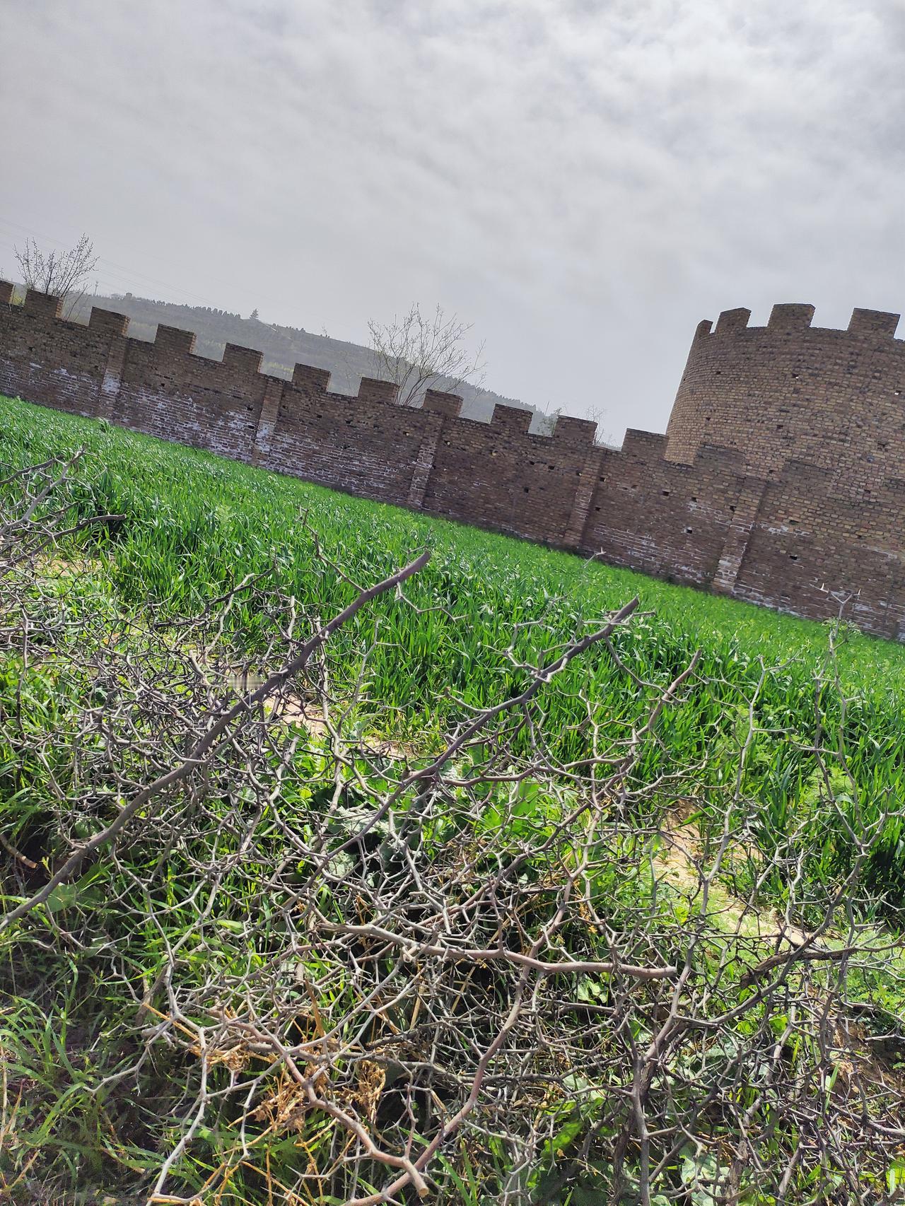 人到半生，慢慢懂得：最好的生活，是一半清醒，一半释然人活到半辈子，回头看看
