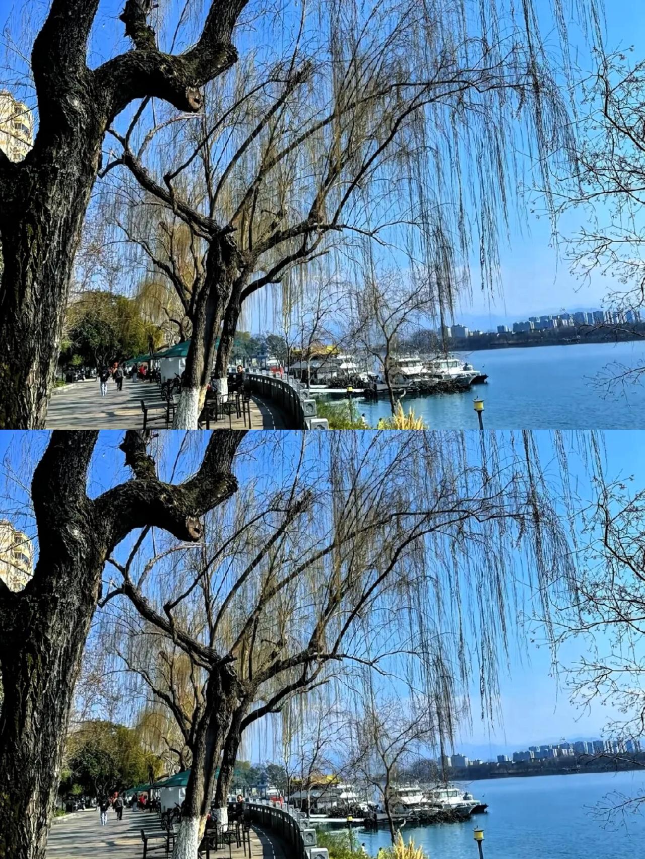 "38号文"一出，我就把挂了两年的房子给撤了。中介都懵了，说姐你疯了？现