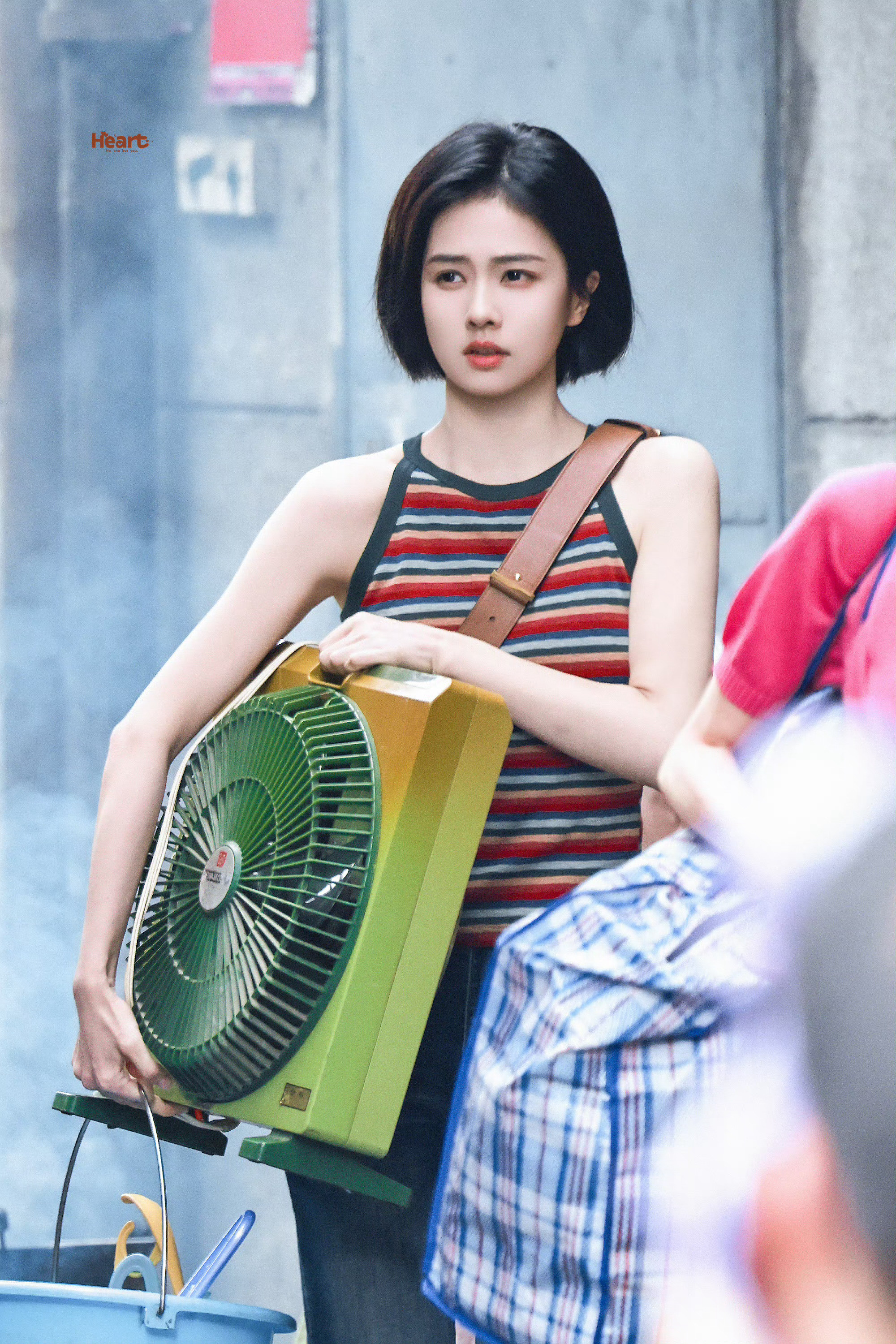 白鹿苏醒给时代少年团送花篮了🩵🩵开到荼蘼花事了，尘烟过处觅归途。一场柔情圈套