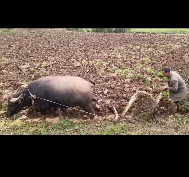 我们没有惦记你们碗里的鱼翅和鲍鱼，而你们却惦记我们碗里的咸菜和米饭！