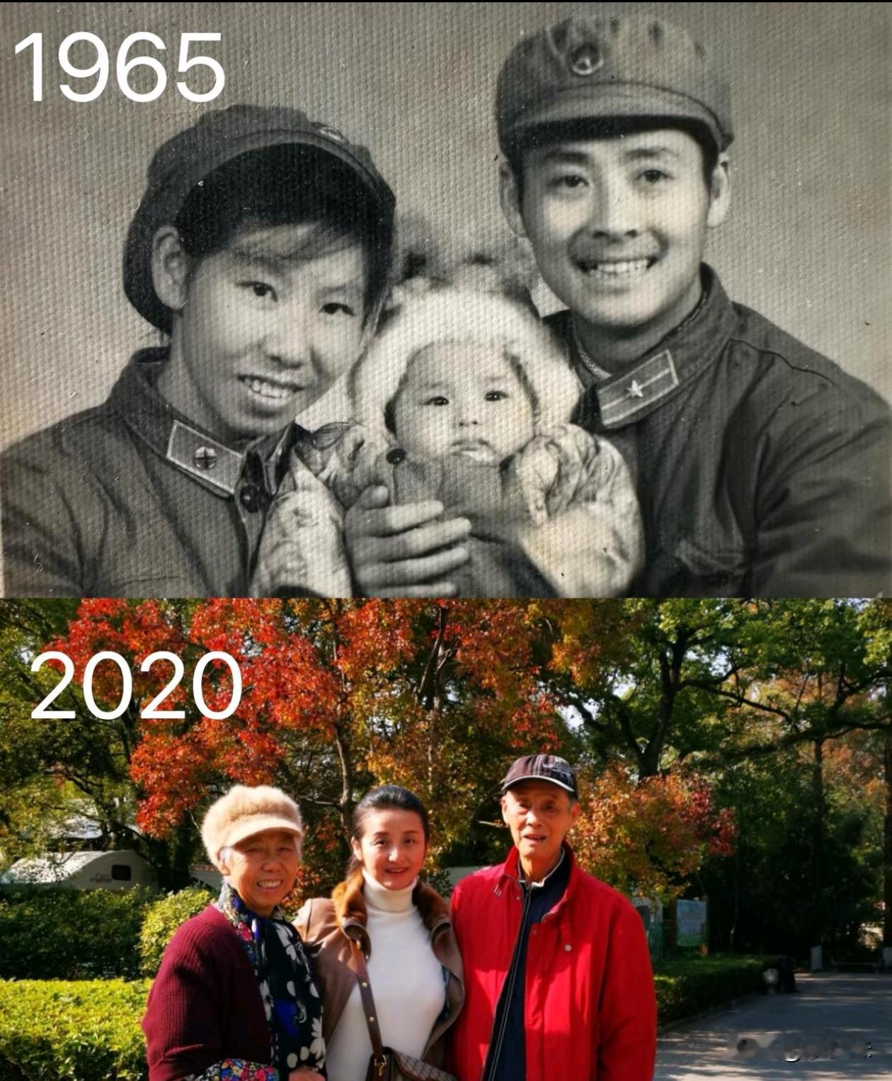 同样的三个人，时隔半个世纪的变化