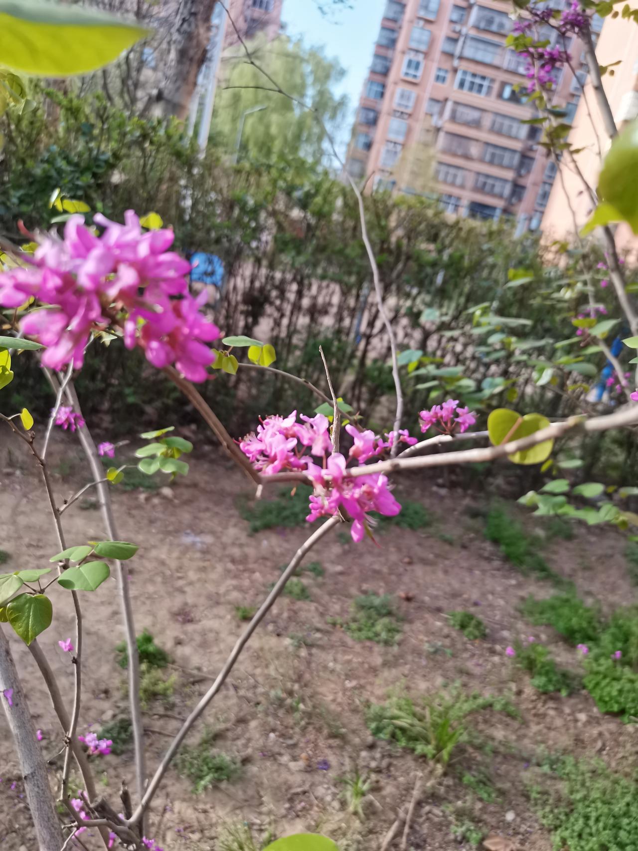 挣钱最终为了什么天天忙着挣钱，可你想过没有：挣到最后，到底图个啥？说白了