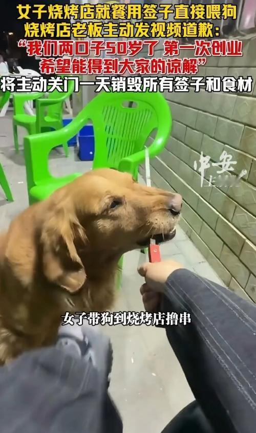 去饭馆吃饭，最怕碰到啥？有人拿喂过狗的签子接着用！想想那签子上沾着的口水、狗粮渣