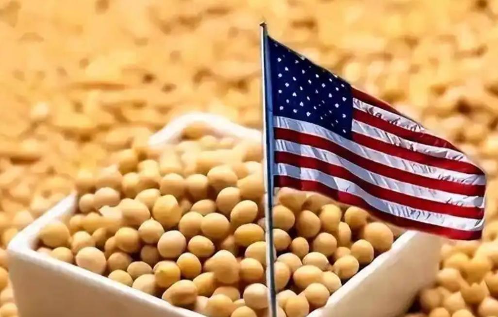 美国大豆为什么非要卖给中国？其实，站在美国的角度，三年不卖给中国大豆，表面上只是