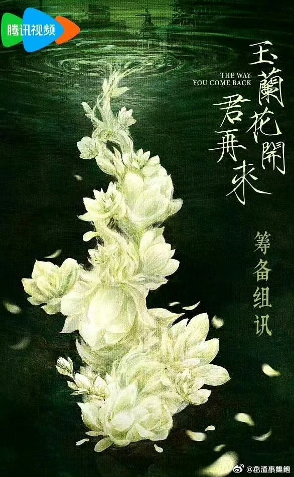 杨紫成毅玉兰花开君再来dream一个二搭！网传杨紫成毅合作玉兰花开君再来​​