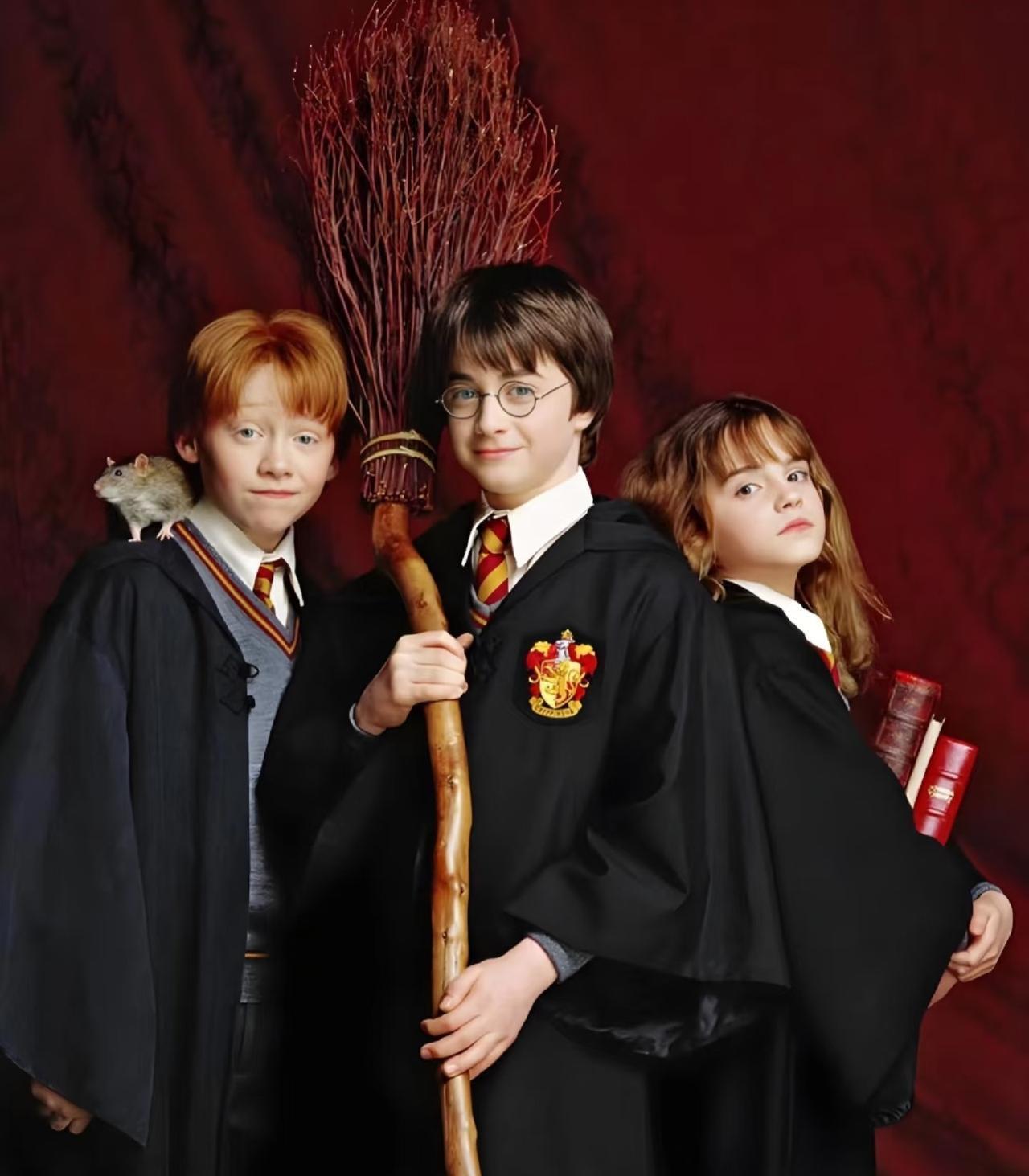 赫敏再拼命也嫁不进波特家？J.K.罗琳亲手写的阶级天花板，比阿瓦达索命还狠！