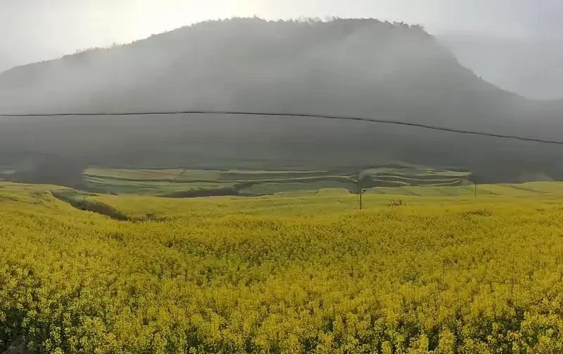 一个废爹，生出了两个神级儿子，一文一武，撑起大汉200年，关键他还只生不养