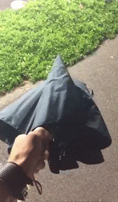 搞笑gif图片: 看美女老板上的这道菜, 实在想不通怎么