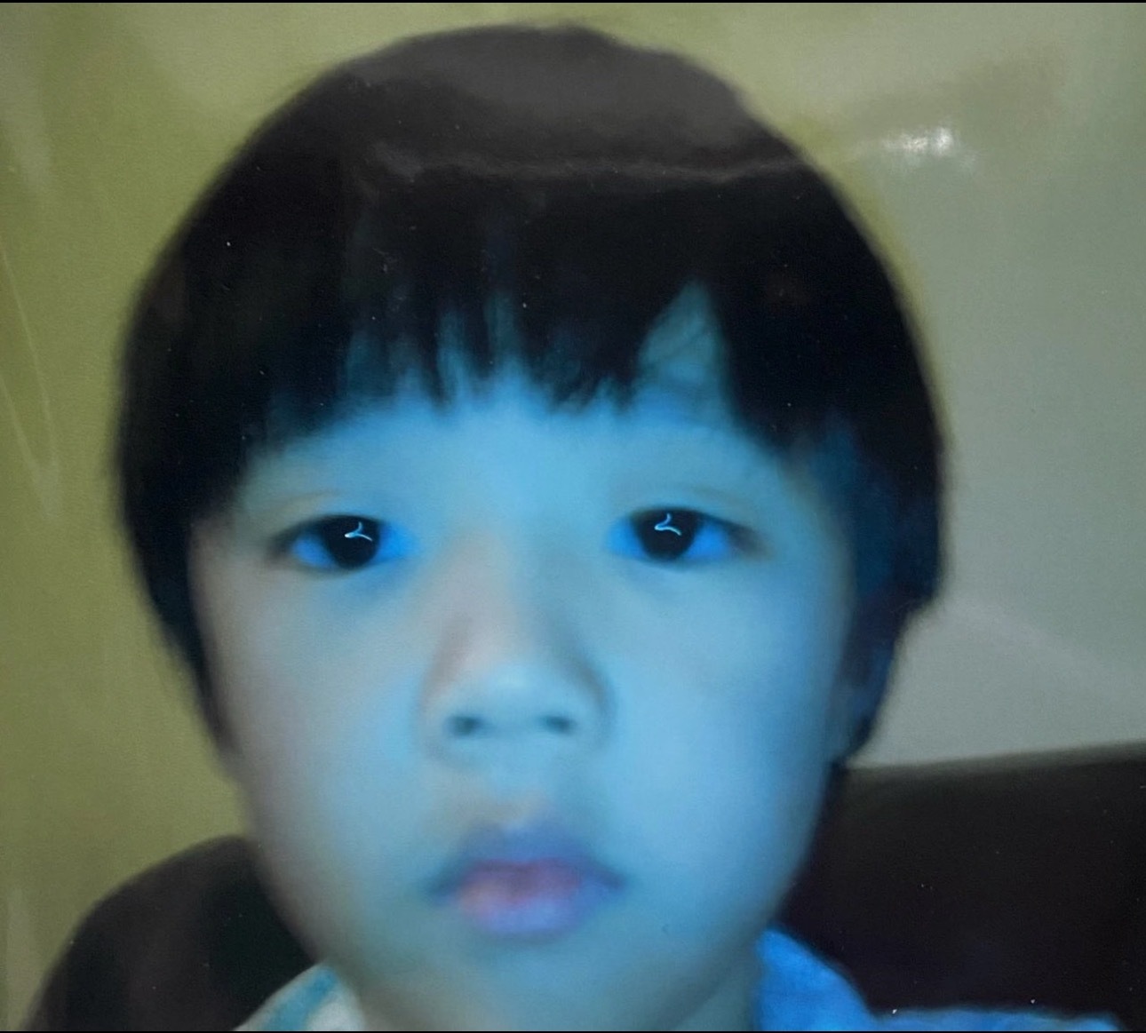 你知道吗，你就是世界上最好的小浣熊了！干净、优雅、乖巧、可爱！你不用羡慕任何别人