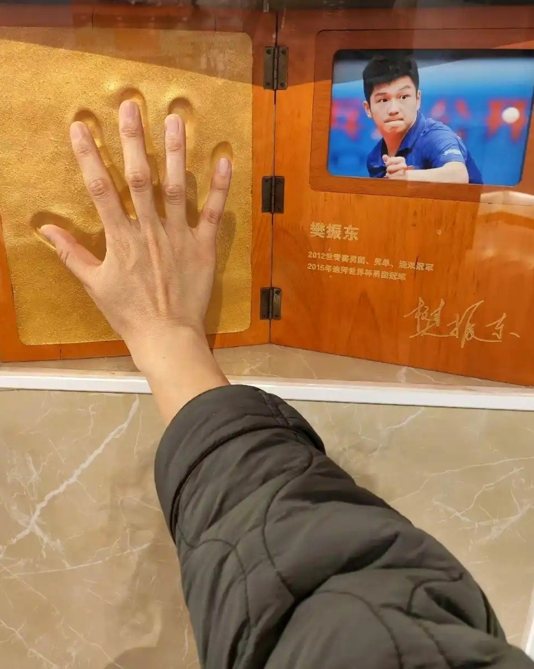 繁星跨越600公里打卡东哥手膜！期待真王归位有一种想念叫樊振东男队依然需要樊振东