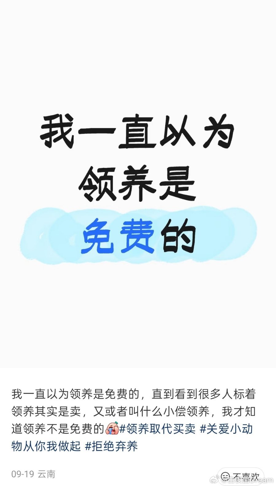 领养代替购买一直以为领养是免费的，原来不是​​​