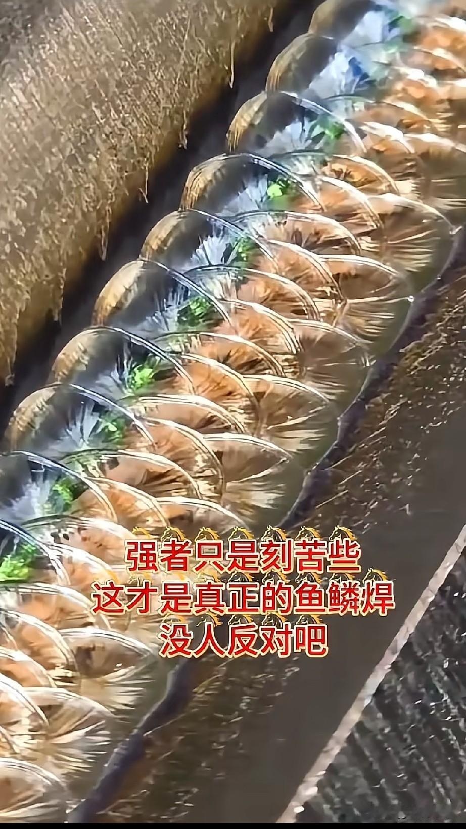船厂女焊工焊出来的鱼鳞焊，美的非常惊艳，简直有一种赏心悦目的艺术享受！首先介绍一