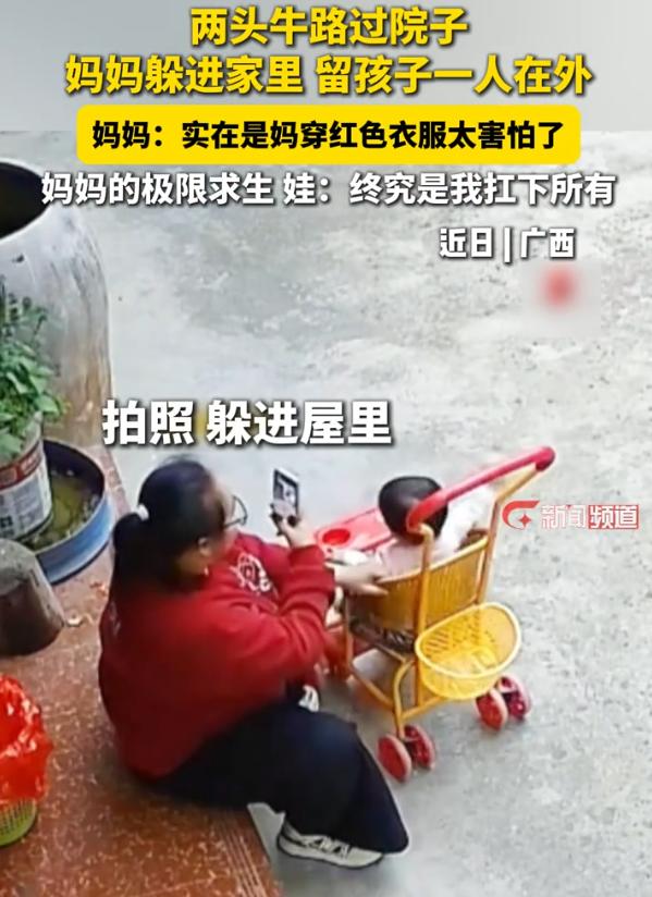 看懵了！广西，一位妈妈带着娃在院里晒太阳，这时两头牛从门前经过，妈妈看到后第一反
