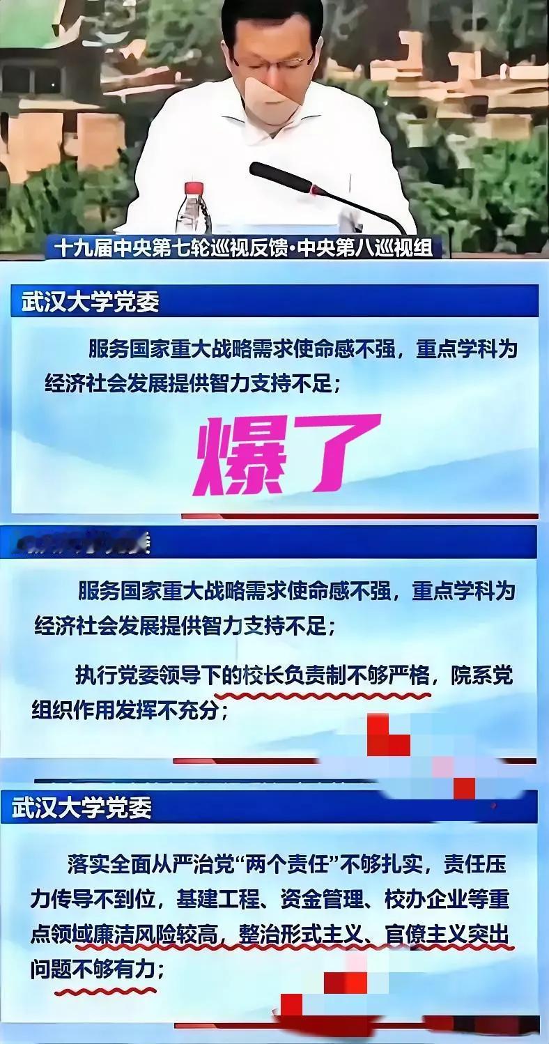 这下好了，武汉大学被巡视组通报，还被央视直接点名！这热度，想压都压不下去了。