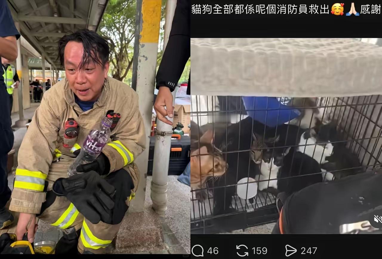 看到这一幕，真让人无语，楼里不知道有多少人等着救援，可是爱心泛滥的消防员