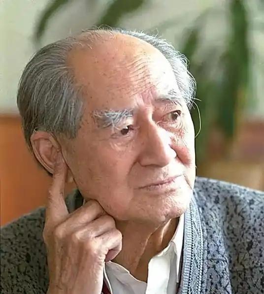 1996年12月12日深夜，准确说是13日凌晨，武汉同济医院的寂静被打破。8