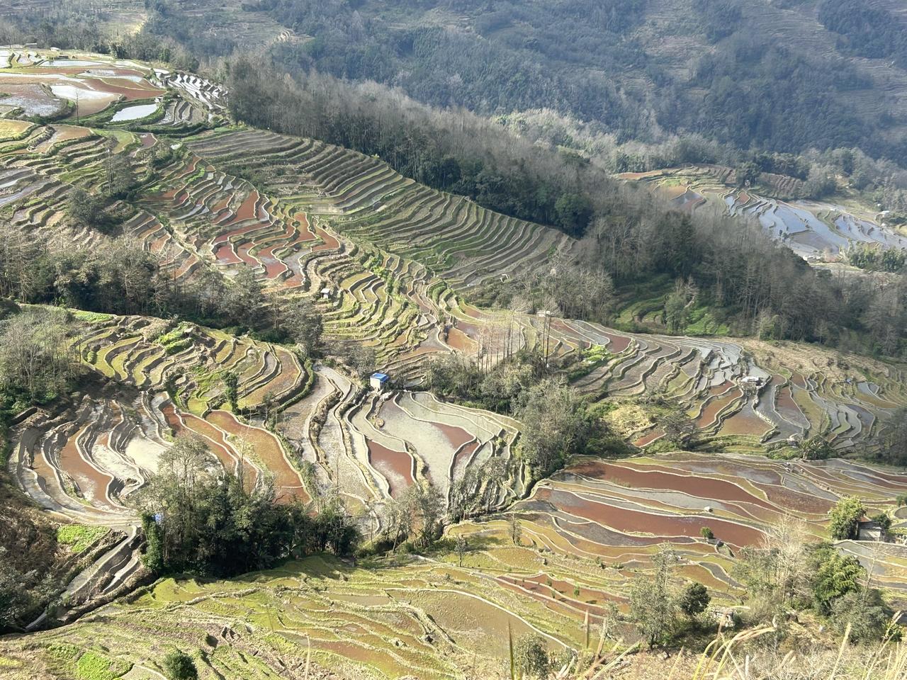 云南红河哈尼族自治州元阳梯田，仿佛天地相连，难分人间还是仙境高原个人资料爬山徒