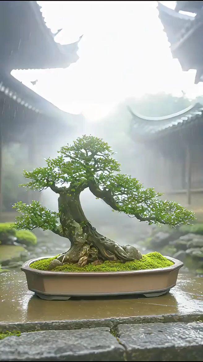 八年前与父决裂，执意“下嫁”撒贝宁的李白，如今用幸福打了所有人的脸八年前，