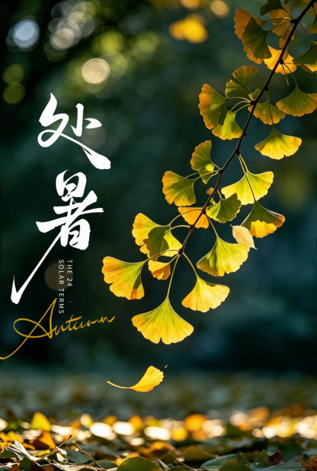 “冷不冷，就看处暑”周日处暑，今年冬天会很冷吗？看农谚咋说23号处暑，老话