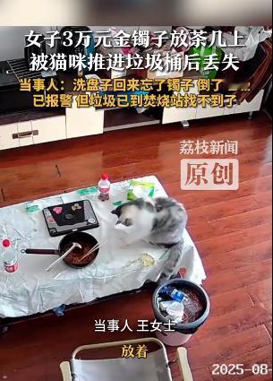 3万金镯子“离奇失踪”，竟是猫咪“神操作”+主人粗心惹的祸！近日在广西桂林发