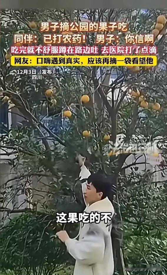 “这下后悔了吧！”近日，四川，一男子逛公园时，看见树上有果子，于是就想上前摘下来