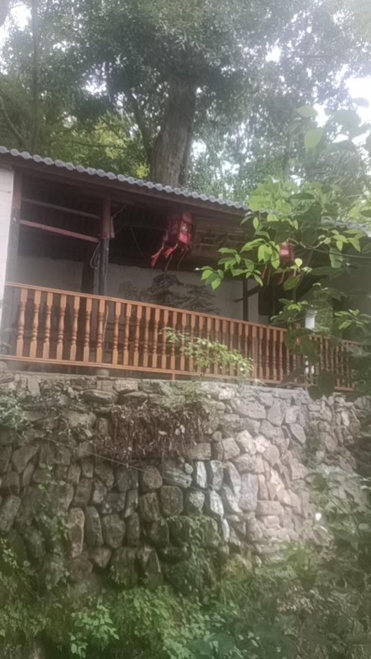 返璞归真，宁静自然