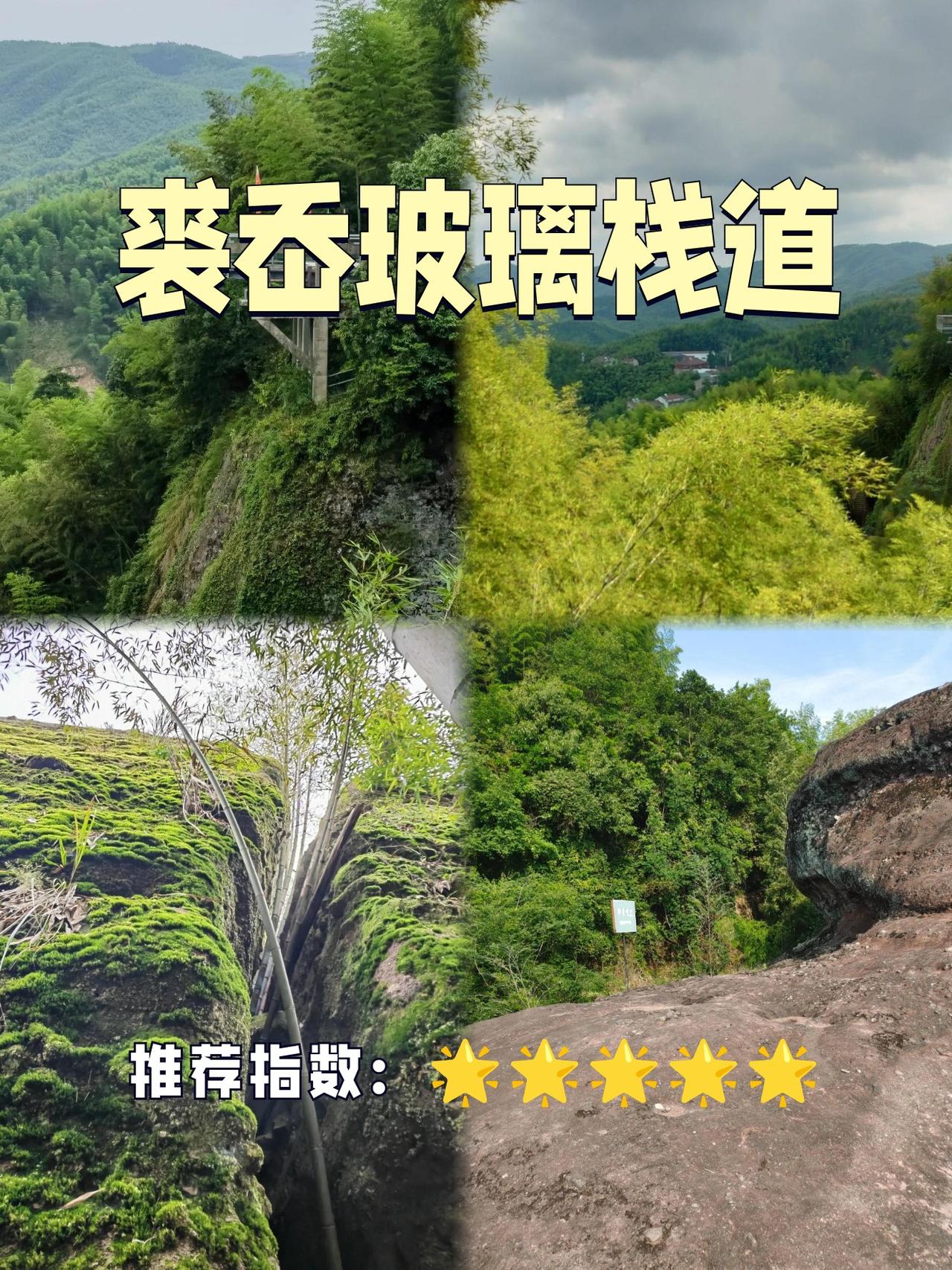 宁波玻璃栈道天花板！悬崖边的云端漫步✨在宁波的崇山峻岭中，竟藏着这样一条“天