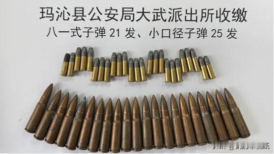 子弹归仓！青海牧民翻出46发老弹，骑摩托直奔派出所…牧民一个举动，让草原更安