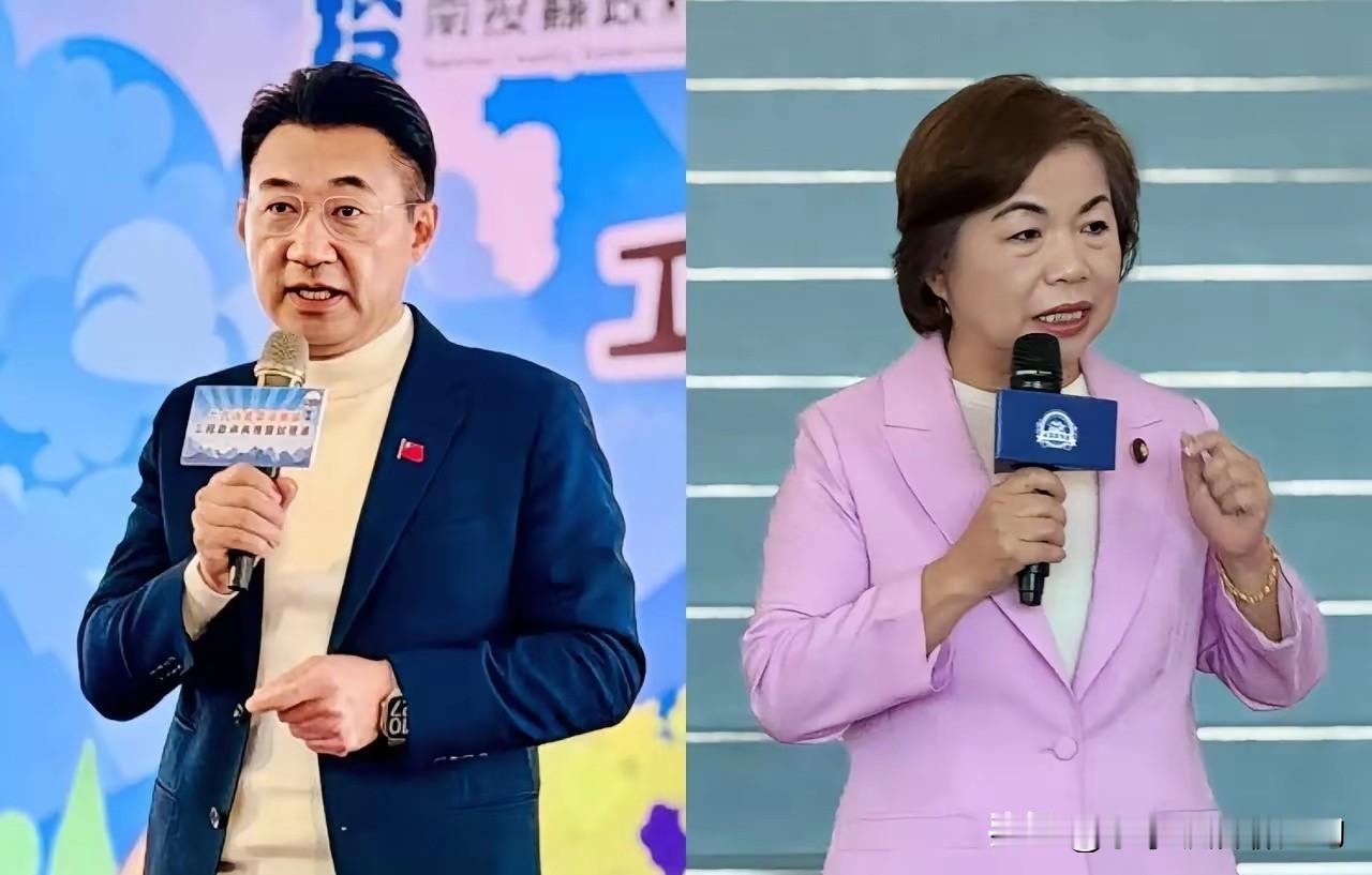 江启臣和杨琼璎比赛一样赞美卢秀燕3月份的访美，看谁的话更谄媚。江启臣先表态