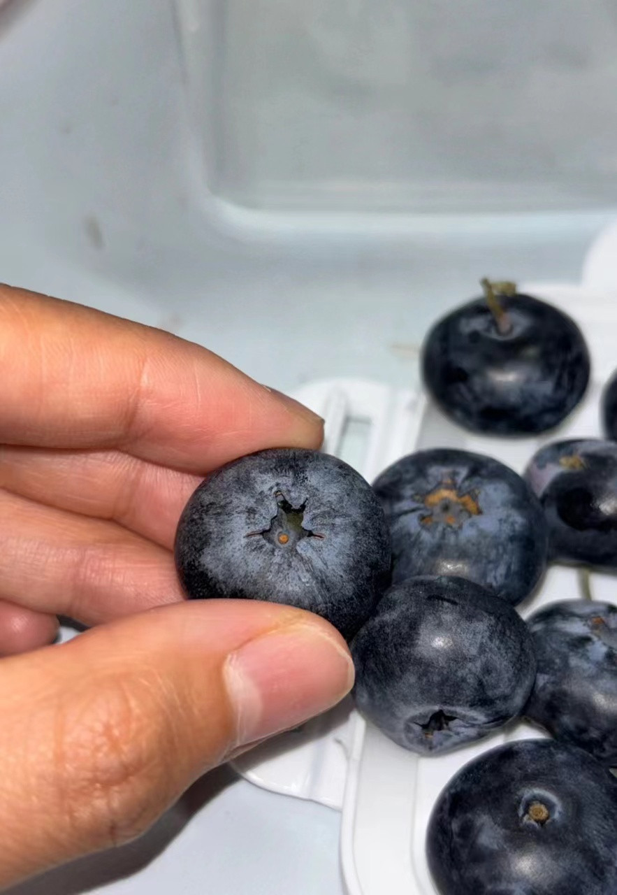 蓝莓肚脐眼里的霉菌在云南玩的时候看见路边有卖蓝莓的，便宜个又大，买了一盒回去担心