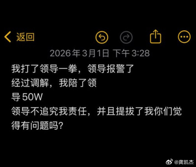网友问：假如啊，我是说假如我打了领导一拳，领导报警了，经过调解，我赔了领导50W
