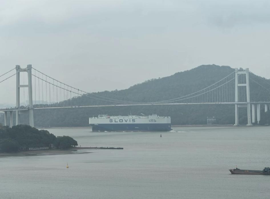 全球首艘！能装一万辆的大船经过虎门大桥！就在刚刚，全球第一艘能装10800辆