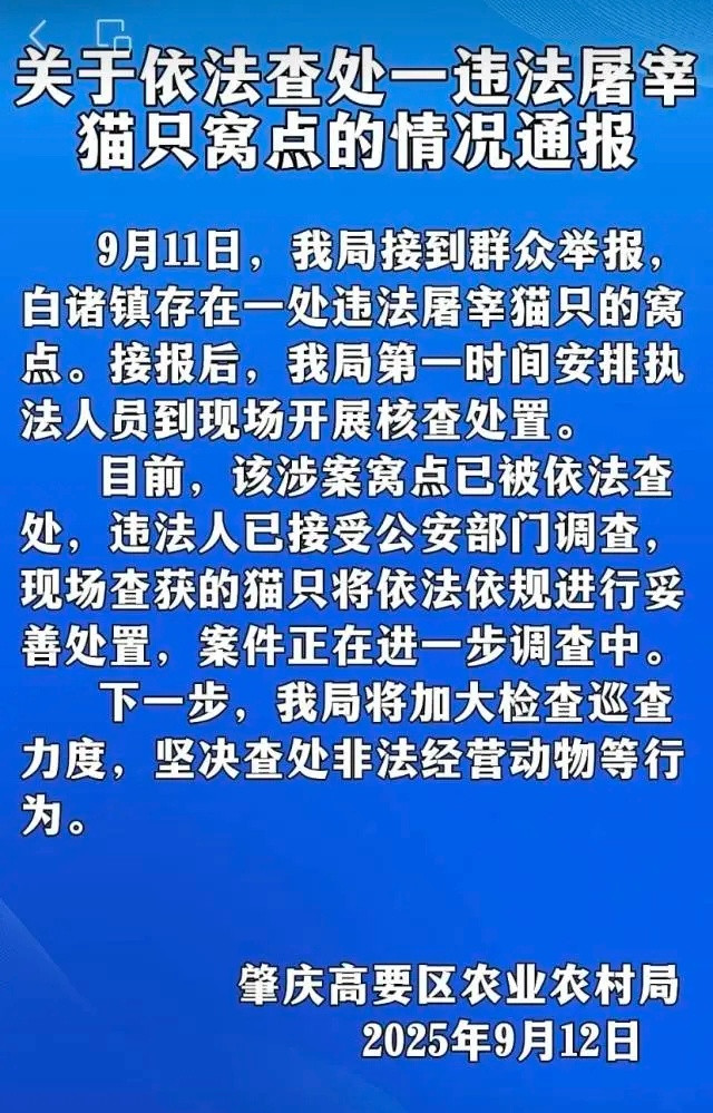 一违法屠宰猫只窝点被查处这些被非法屠宰的猫肉最终流向了哪里？这是我们最关心的问题
